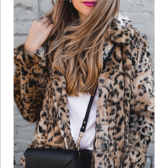 Dorothy Perkins | Jackets \u0026 Coats 